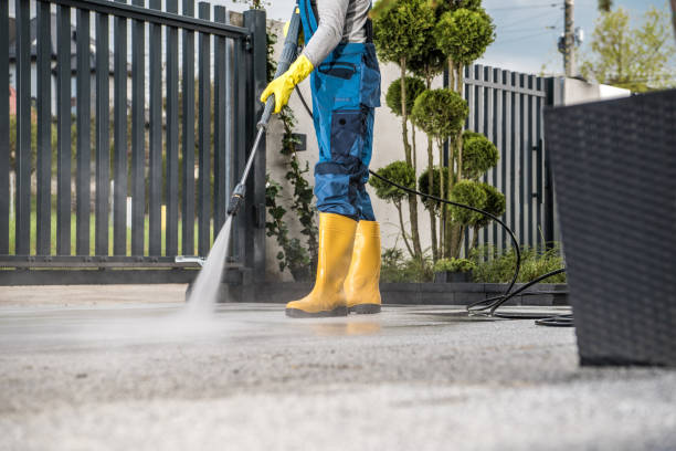 Best Pool Deck Cleaning  in Woodbine, NJ